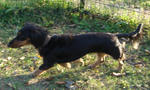 DSC04230.JPG