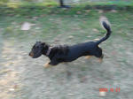 DSC04232.JPG
