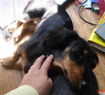 DSC04115.JPG