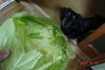 DSC04249.JPG
