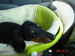DSC04245.JPG