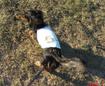 DSC04275.JPG