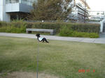 DSC04279.JPG