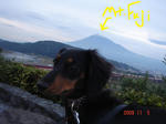 DSC04301.JPG