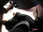 DSC04284.JPG