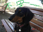DSC04306.JPG
