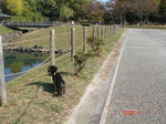 DSC04308.JPG