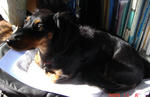 DSC04304.JPG