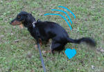 DSC04345.JPG