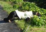 DSC04387.JPG