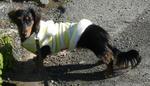 DSC04397.JPG
