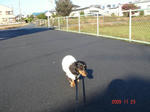 DSC04383.JPG