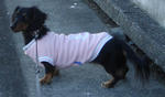 DSC04406.JPG