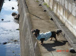 DSC04417.JPG