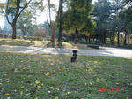 DSC04445.JPG