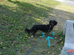 DSC04449.JPG