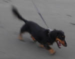 DSC04460.JPG
