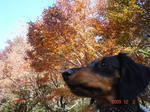 DSC04500.JPG