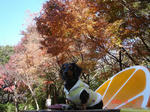 DSC04506.JPG