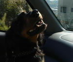 DSC04511.JPG