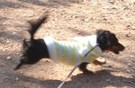 DSC04483.JPG