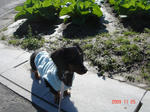 DSC04431.JPG