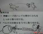 DSC04589.JPG