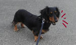 DSC04552.JPG