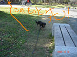 DSC04558.JPG