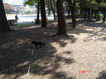 DSC04307.JPG