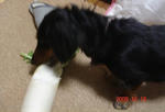 DSC04607.JPG