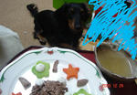 DSC04711.JPG