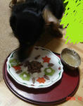 DSC04713.JPG