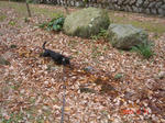 DSC04833.JPG