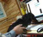 DSC04809.JPG
