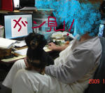 DSC04847.JPG