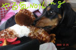 DSC04725.JPG