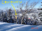 DSC04764.JPG