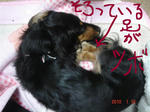 DSC04911.JPG