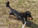 DSC04897.JPG