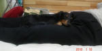 DSC04912.JPG