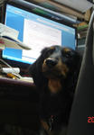 DSC04850.JPG