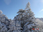 DSC04744.JPG