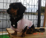 DSC05041.JPG