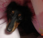 DSC04968.JPG