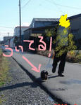DSC05077.JPG