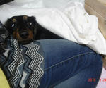 DSC05159.JPG