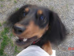 DSC05145.JPG