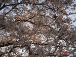 DSC05198.JPG