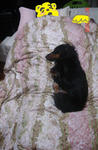 DSC05180.JPG